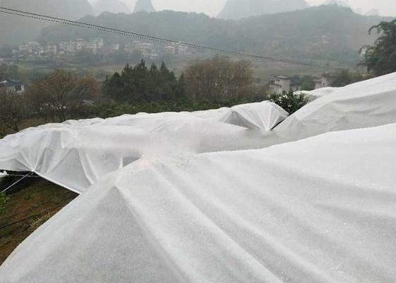 Environmentally Friendly PP Nonwoven Fabric Degradable For Agricultural