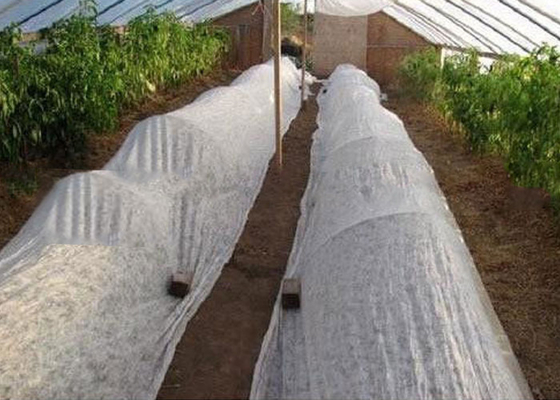 Environmentally Friendly PP Nonwoven Fabric Degradable For Agricultural