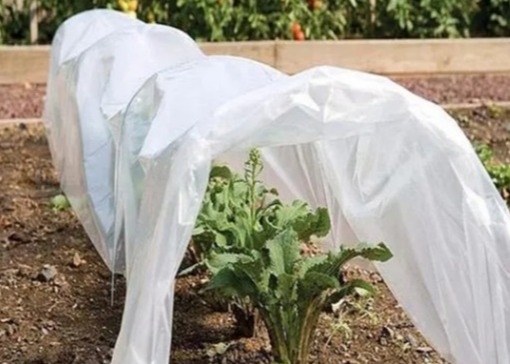 acheter Tissu non tissé 100% en PP respectueux de l'environnement pour le paillage agricole online manufacture