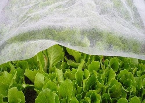 acheter Durable PP hydrophile non tissé anti-insectes Transmission de la chaleur de la lumière pour l'agriculture online manufacture