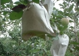 acheter 100% de tissu non tissé en PP Largeur 10-320 cm pour sacs à fruits Gardez au chaud online manufacture