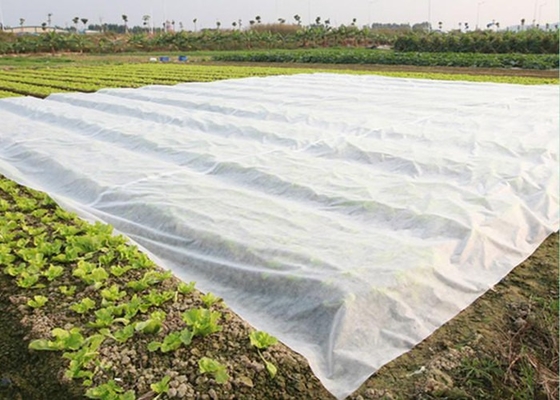 acheter Ombrage, réduit à l' évaporation de l' eau PP non tissé pour l' agriculture online manufacture