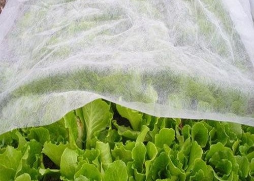acheter PP Tissus non tissés Anti-germes Prévention des insectes online manufacture