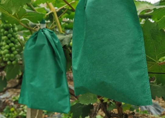 acheter Sacs de couverture en non-tissés pour une protection de qualité supérieure pour la culture de la banane online manufacture