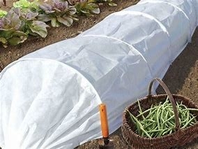 acheter Les tissus non tissés agricoles inhibent la croissance des mauvaises herbes online manufacture