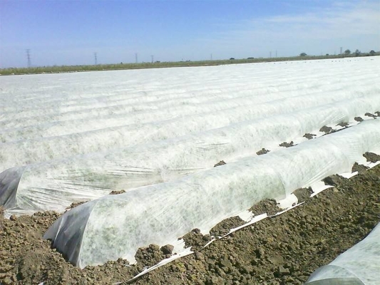 acheter Tissus non tissés pour l'agriculture résistant au froid, aux insectes et à l'isolation thermique online manufacture