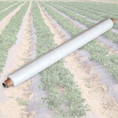 acheter Tissus non tissés agricoles, SMS, PP, PET, anti-froid anti-UV anti-âge online manufacture