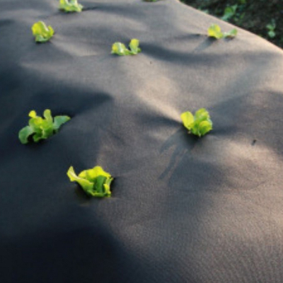 acheter Tissu non tissé de protection agricole de haute résistance: anti-âge, résistant aux déchirures pour la culture des cultures online manufacture