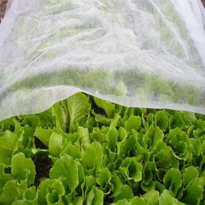 acheter Hygiene Agriculture Industry PP Nonwoven Fabric Hydropilic / Hydrophobic online manufacture