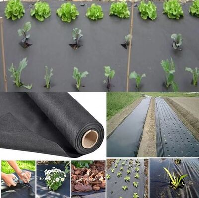 acheter Vegetable Agriculture Nonwoven Fabric Anti - frost Fruit Bag Winter Protect Use Nonwoven online manufacture