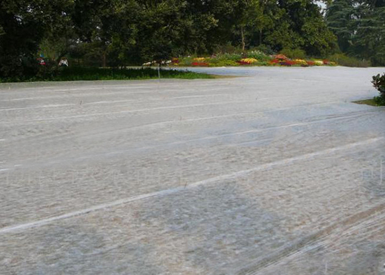 acheter Tissu non tissé supplémentaire blanc non-tissé de paysage de largeur de 100% pp biodégradable pour la ferme online manufacture