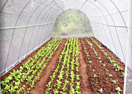 acheter Tissu non tissé en PP agricole résistant aux rayons UV online manufacture