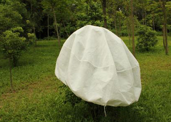 acheter De Hydrobilic d'agriculture protection d'hiver du textile tissé pp non aucune pollution pour des vergers online manufacture
