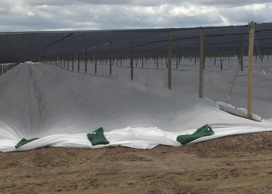 acheter De pp textile tissé dégradable non, résistant UV de couverture d'usine de tissu moulu de lutte contre les mauvaises herbes online manufacture