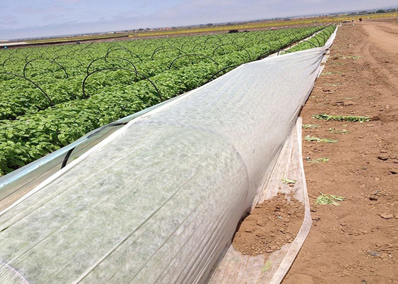 acheter Tissu non tissé résistant UV de polypropylène hydrophile contre l'herbe incongelable online manufacture