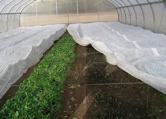 acheter Le textile tissé pp de lutte contre les mauvaises herbes de paysage non matériel pour les jardins à la maison libèrent le jardinage online manufacture