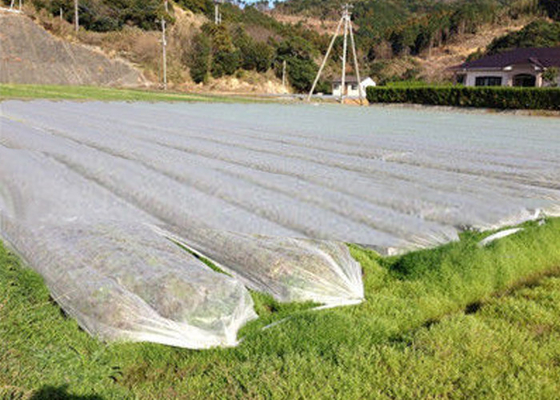 acheter Le textile tissé non tissé d'agriculture de couverture végétale non empêchent des mauvaises herbes de ruiner le paysage online manufacture