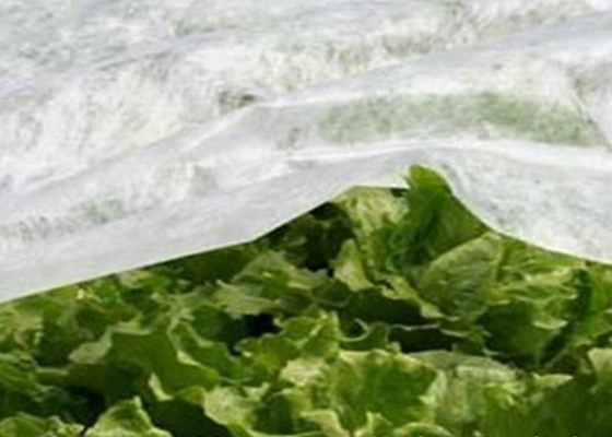 acheter De pp textile tissé respirable non, tissu de lutte contre les mauvaises herbes de jardin pour l'agriculture online manufacture