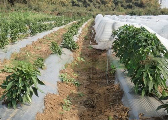 acheter De couverture d'agriculture OEM non toxique végétal de poids léger de textile tissé non disponible online manufacture