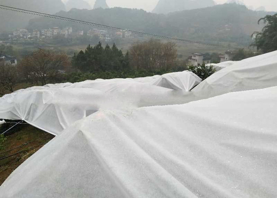 acheter Poids léger blanc de tissu de lutte contre les mauvaises herbes de couverture végétale non toxique pour les arbres fruitiers online manufacture
