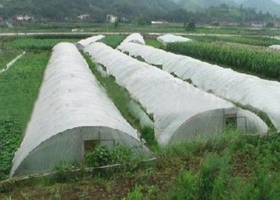 acheter D'agriculture tissu anti-vieillissement Rolls de textile tissé/polypropylène non pour la couverture agricole online manufacture