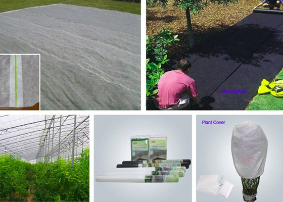 acheter Certification anti-vieillissement non tissée de GV de tissu de polypropylène d'agriculture online manufacture