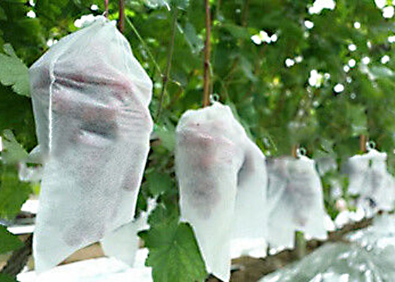 acheter Anti rouille d'agriculture de textile tissé non toxique non 1% - 4% 300g/M2 traité aux UV online manufacture