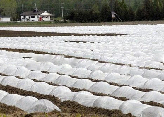 acheter D'agriculture textile tissé écologique non avec OEM/ODM traités aux UV de 1% - de 4% disponible online manufacture