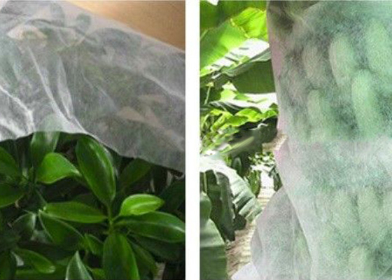 acheter Textile tissé blanc de pp Spunbond non/non textile tissé biodégradable léger online manufacture