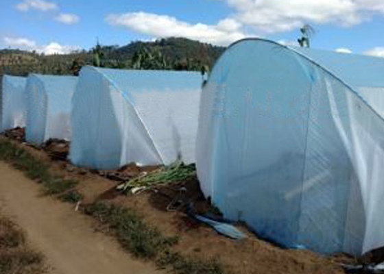 acheter De tension élevée d'agriculture matériel 100% de polypropylène de Vierge de textile tissé non online manufacture