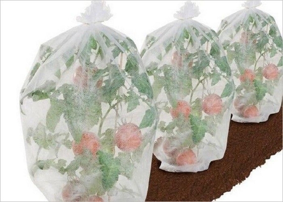acheter Textile tissé écologique de l'agriculture pp non ODM d'OEM traité aux UV de 1% - de 4% online manufacture