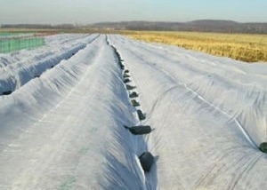 acheter Anti charge statique de pp de textile tissé hydrophobe respirable non pour l'agriculture online manufacture