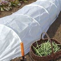 Pour la plantation de cultures, utilisez du non-tissé agricole, approvisionnement direct d'usine chinoise, exportation