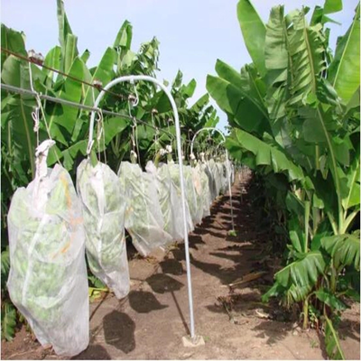La couverture non-tissée respirable de fruit met en sac non-tissé agricole pour la protection de banane et de raisin