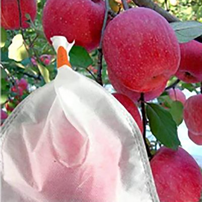 Anti-UV Agriculture non tissé PP Hydrophobe Sac de fruits Protecteur Pour Banane de pomme