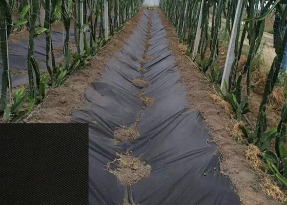 UV Resistance Agriculture Non Woven Fabric For Plant Keeping Temperature