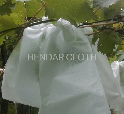 Fruit Wrapping Cloth PP Spunbond Nonwoven Fabric 3200mm Customized For Agriculture